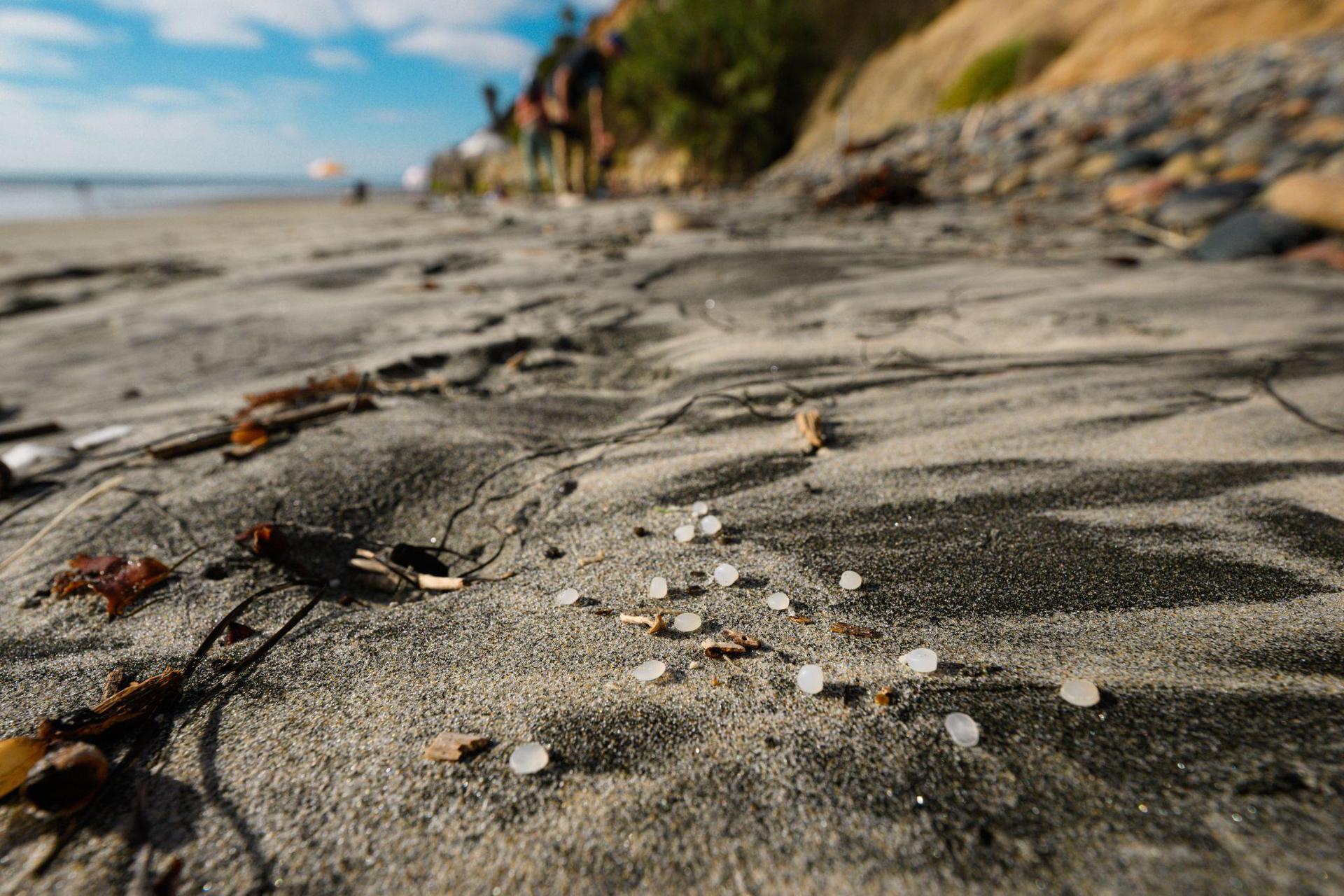 Nurdles along a southern California beach
