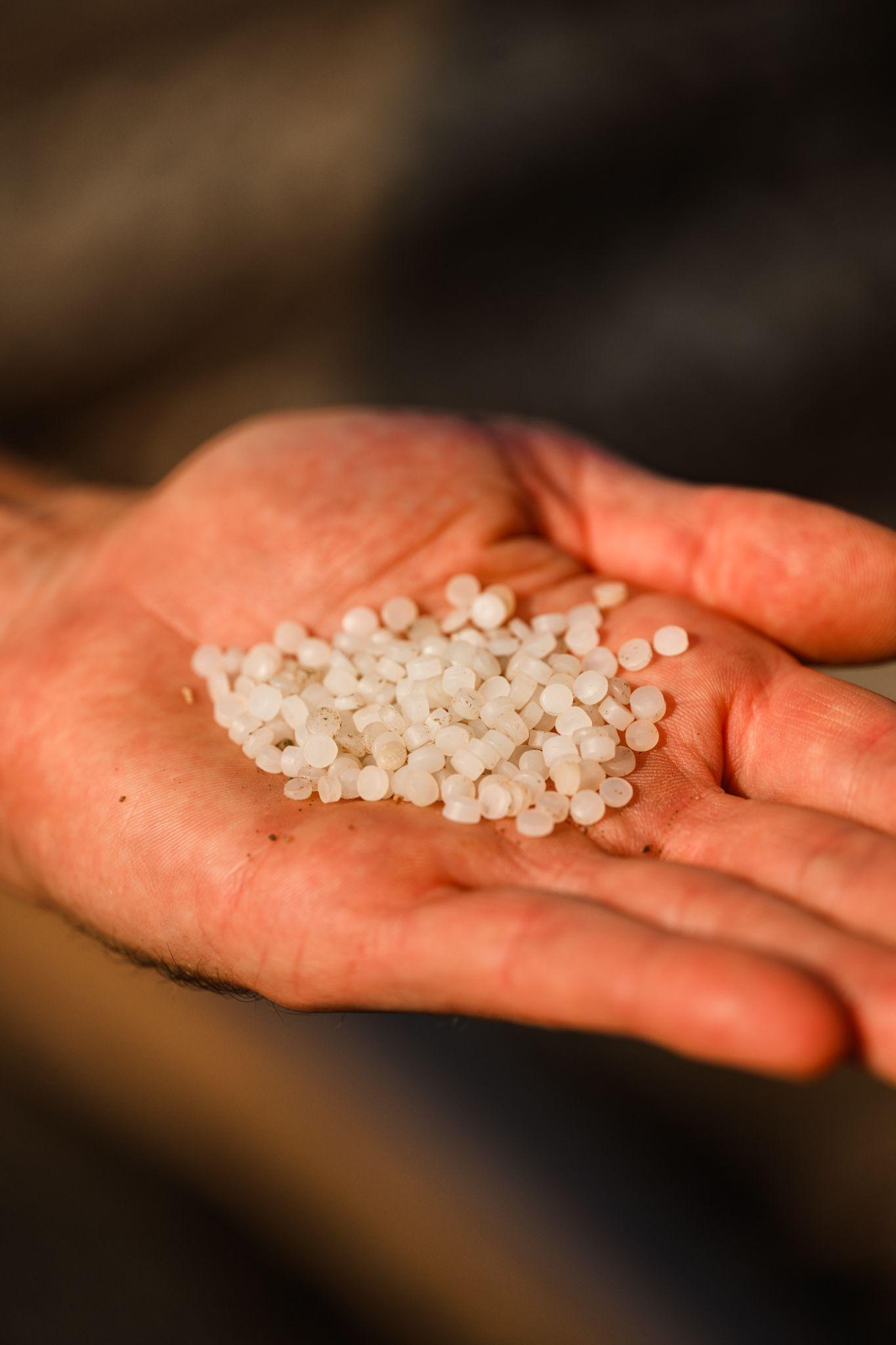 Plastic nurdles held in a hand